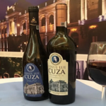 Vinul lui Cuza va fi produs la un conac din Ștefănești