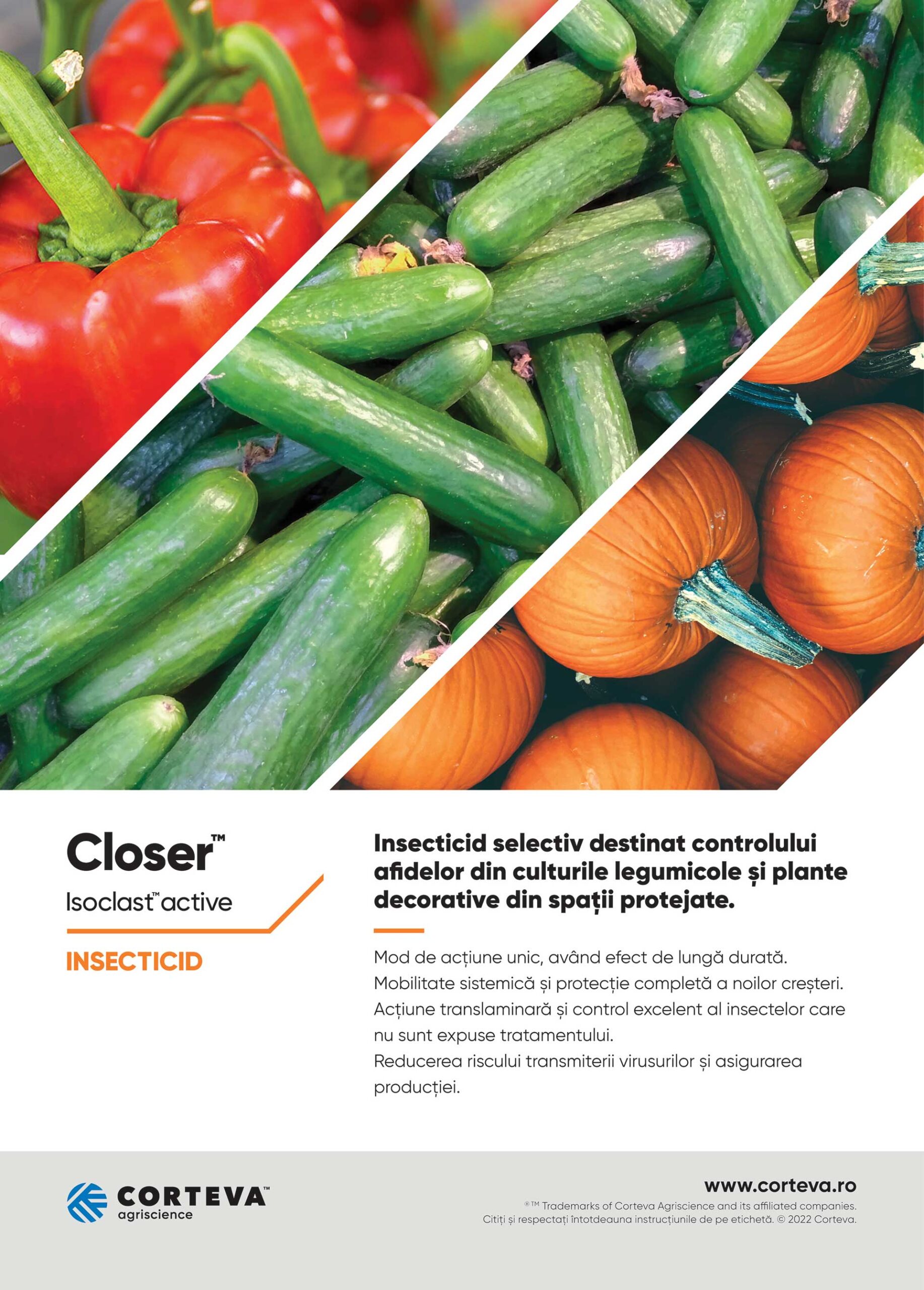 CLOSER™, Corteva, solutia perfecta pentru combaterea afidelor din culturile de legume, diminuarea transmiterii virusurilor la plantele de cultura